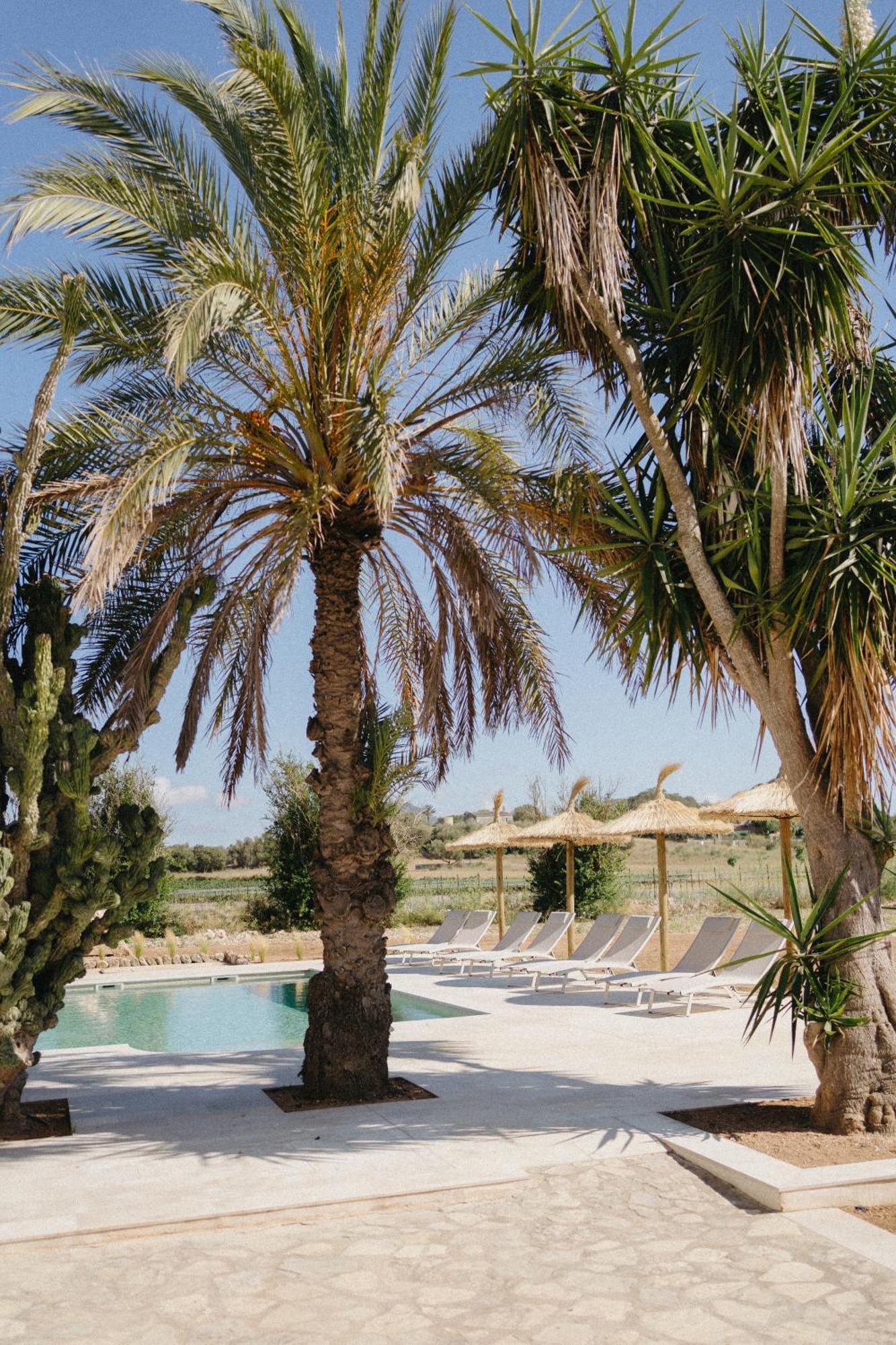 Vino Resort Son Amaret Son Macia  Zewnętrze zdjęcie