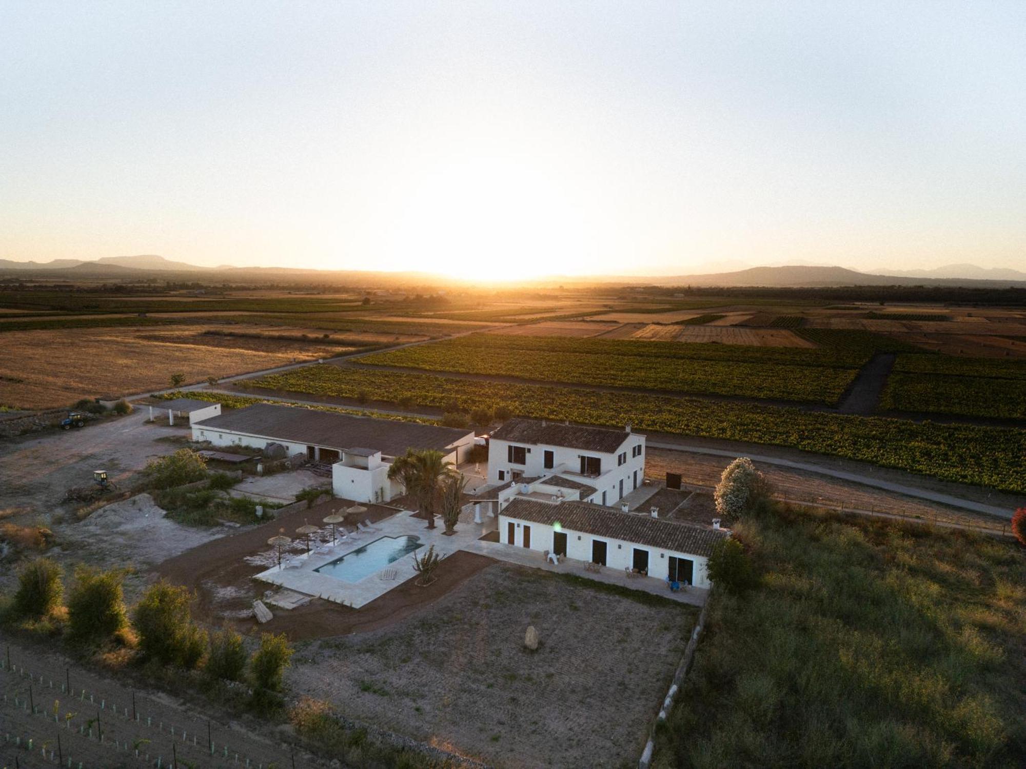 Vino Resort Son Amaret Son Macia  Zewnętrze zdjęcie